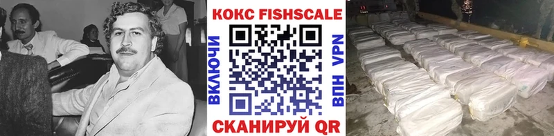 Купить где Задонск КОКАИН FishScale