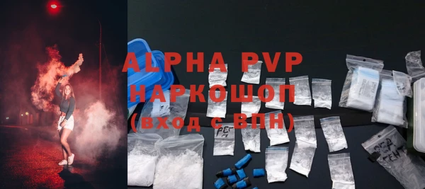 ALPHA PVP Иннополис