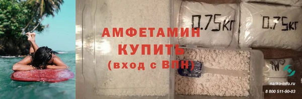 ГАЛЛЮЦИНОГЕННЫЕ ГРИБЫ Инсар