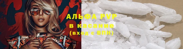 ГАЛЛЮЦИНОГЕННЫЕ ГРИБЫ Инсар