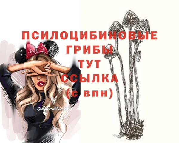 ALPHA PVP Иннополис
