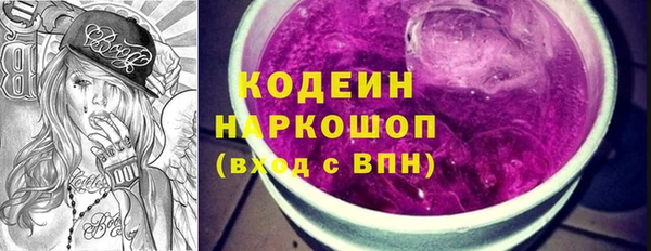 ГАЛЛЮЦИНОГЕННЫЕ ГРИБЫ Инсар