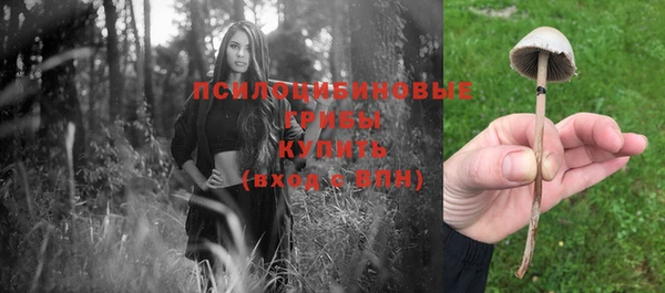 ALPHA PVP Иннополис