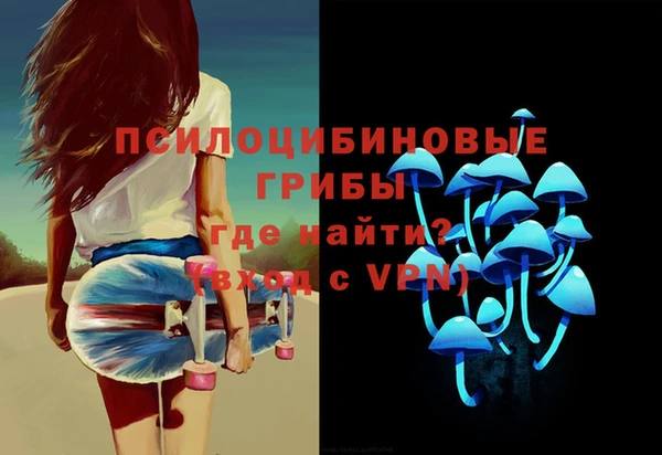 дурь Россошь