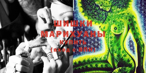 ГАЛЛЮЦИНОГЕННЫЕ ГРИБЫ Рославль